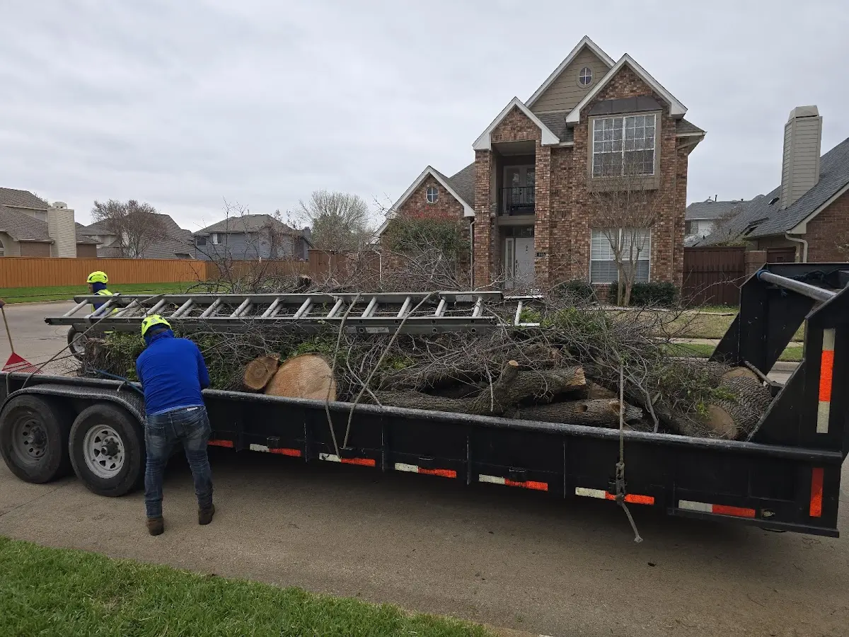 Expert Tree Fertilization with proper safety equipment in Brookesmith